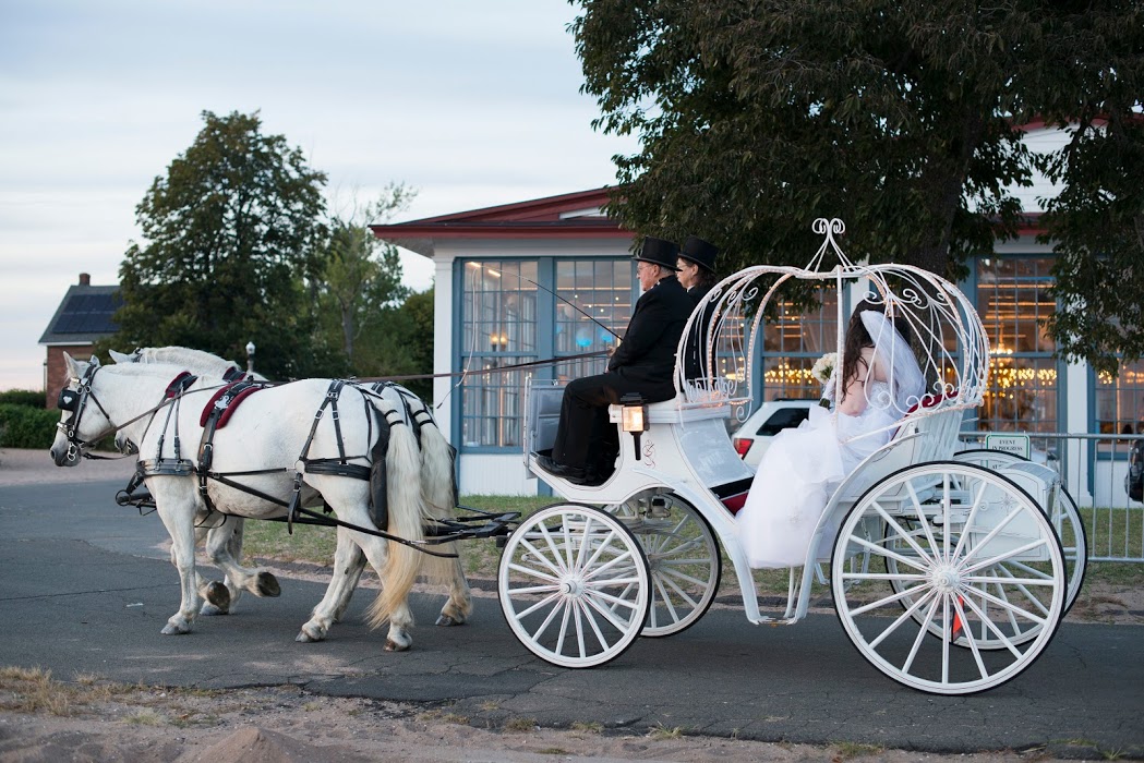 Cinderella Carriage Two White Horsese