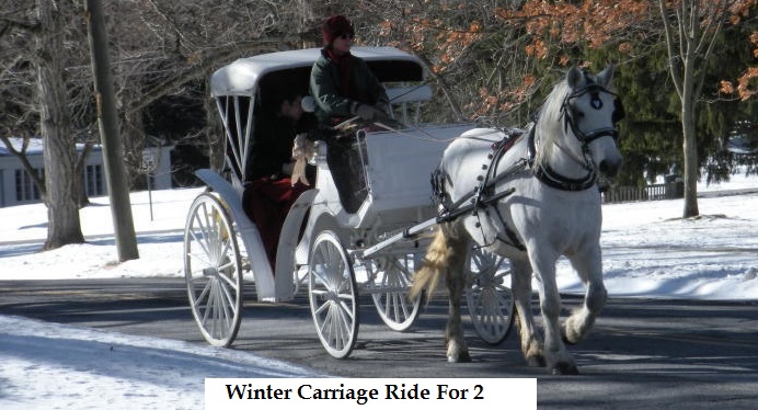 Winter Carriage Ride