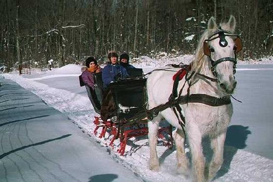 Sleigh Ride