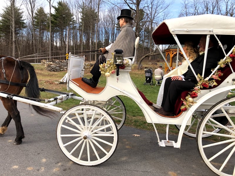 Proposal Carriage Ride