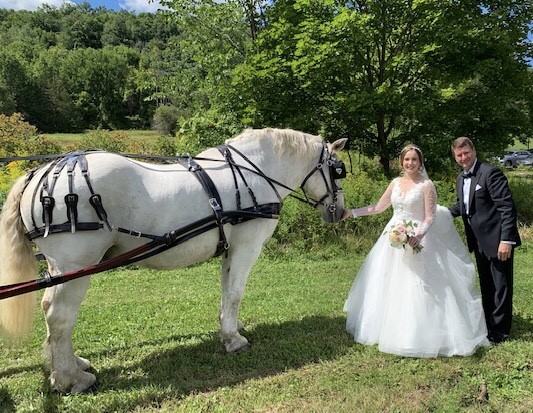 Proposal Carriage Ride